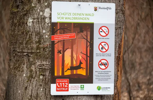  Bei erhöhter Gefahr werden gefährdete Waldgebiete zusätzlich kontrolliert. (Archivbild) | Foto: Harald Tittel/dpa