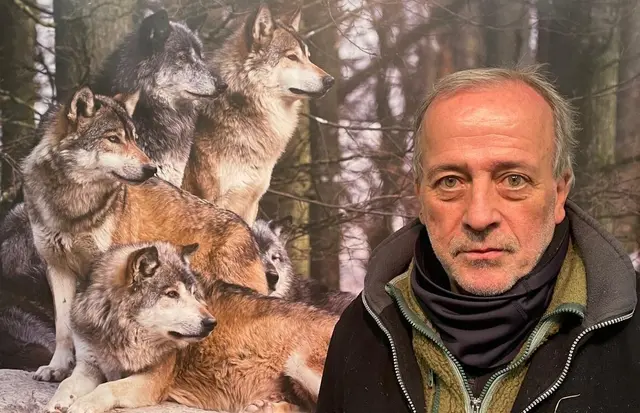 Klaus Eisele (Foto), ehrenamtlicher Leiter der ORBEA Ludwigshafen und Naturschutzbeauftragter der Stadt Ludwigshafen sowie des Rhein-Pfalz-Kreises, lädt am 28. Juni zu einem Vortrag über die Rolle des Wolfs in unserer Kulturlandschaft in die ORBEA-Station im Maudacher Bruch ein.  | Foto: ORBEA Ludwigshafen