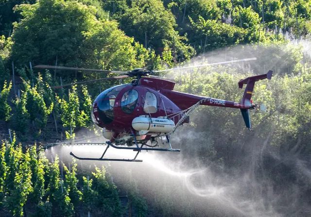 In steilen Weinbergen an der Mosel dürfen auch im Jahr 2026 weiterhin Fungizide mittels Hubschrauber gespritzt werden. (Symbolbild) | Foto: Harald Tittel/dpa