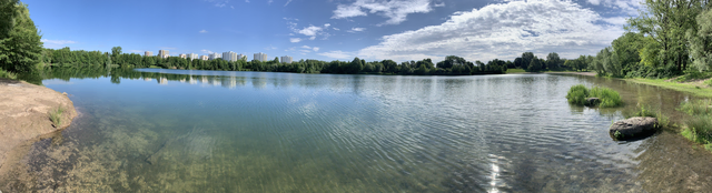 Vor dem Sprung ins Wasser lohnt sich ein Blick auf die aktuelle Wasserqualität der Badeseen. | Foto: Stadt Mannheim