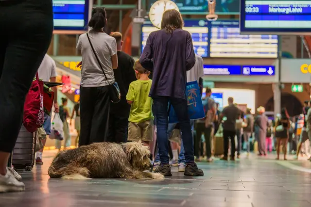 Bahn-Entschädigung: Nach der Störung bei der Deutschen Bahn läuft der Zugverkehr wieder an. Viele Fahrgäste fragen sich: Gibt es Geld zurück? | Foto: dpa
