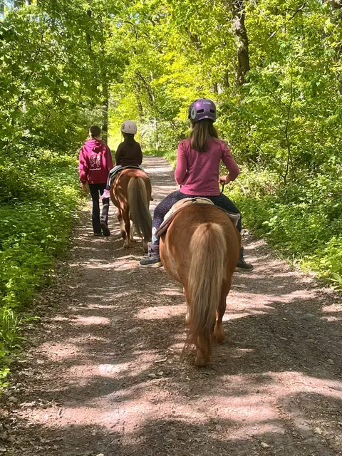 Gelebte Pferdepädagogik bei der PonyRanch by CF, die nun vom Bundesverband beim Hofturnier am 5. Juli die hohe Auszeichnung als Leuchtturmbetrieb erhält | Foto: Carmen Adamietz/gratis