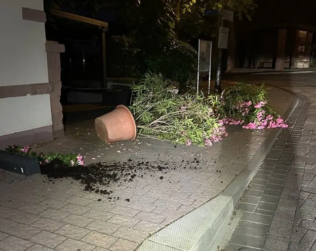 In St. Martin haben Unbekannte in der Nacht neun Blumenkübel in der Maikammerer Straße umgeworfen und dabei hohen Schaden angerichtet. Die Polizei sucht Zeugen zu dem Vandalismus im Ortskern. | Foto: Polizeiinspektion Edenkoben