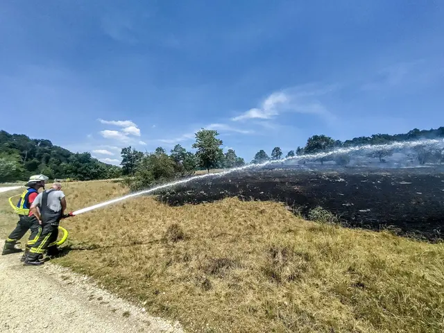 Die Feuerwehr löscht einen Flächenbrand.  | Foto: Markus Brandhuber/dpa