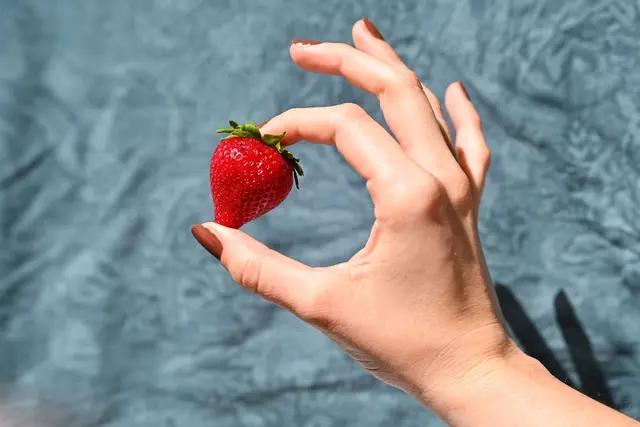 Die Hitze macht den Erdbeeren zu schaffen - und den Pflückern. (Archivbild) | Foto: Katharina Kausche/dpa