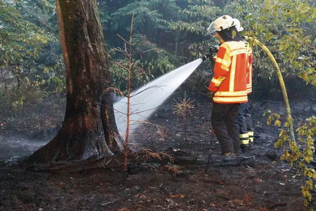 Es ist trocken und heiß, da ist ein Waldbrand nicht unwahrscheinlich. (Archivbild) | Foto: Waldemar Gress/Einsatz-Report24/dpa