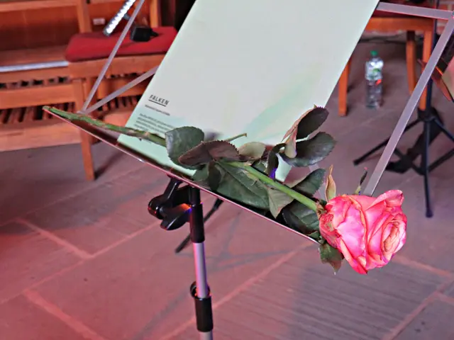 Foto: Brigitte Melder