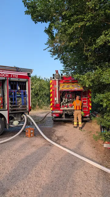 Zahlreiche Einsatzkräfte kämpften am 26. Juni bei Mußbach stundenlang gegen den Großbrand in den Schrebergärten. | Foto: Feuerwehr Haßloch