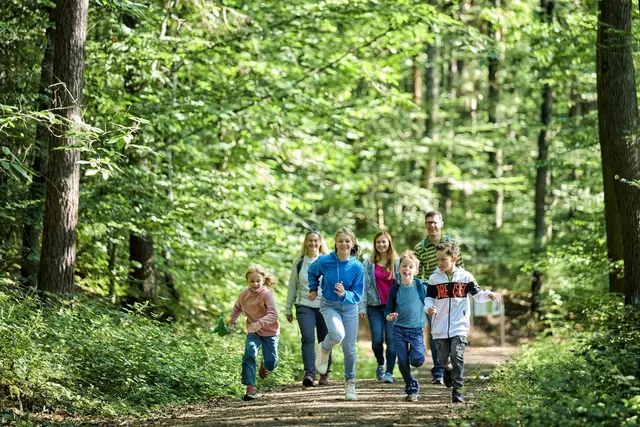 Bei dieser spannenden Wanderung begeben sich Groß und Klein auf die Suche nach den sagenumwobenen und äußerst scheuen Elwetritschen, die der Legende nach in den Pfälzer Wäldern leben | Foto: Donnersberg-Touristik-Verband/Florian Trykowski/gratis