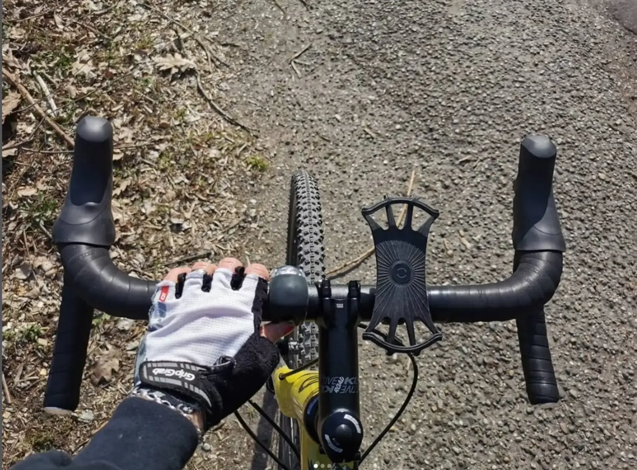 Gravelbike-Touren-in-der-Pfalz-20-Tipps-zwischen-Weinbergen-und-Wald