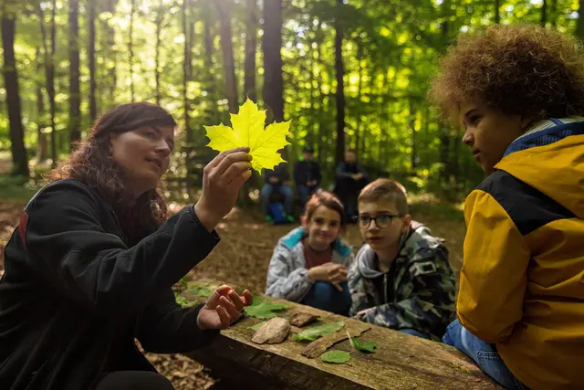 Bei der Waldrallye am Haus der Nachhaltigkeit entdecken Familien den Wald spielerisch und lernen seine Bewohner mit allen Sinnen kennen | Foto: Landesforsten.RLP.de/J. Fieber/gratis