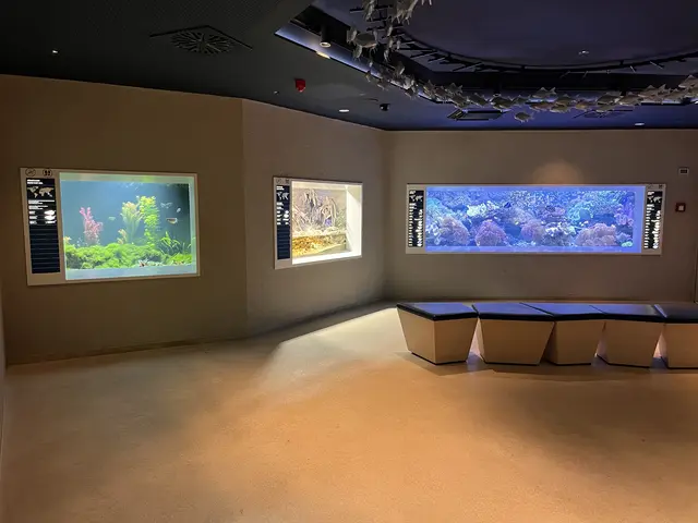 Blick ins Aquarium des Luisenparks | Foto: Aljoscha Kertesz