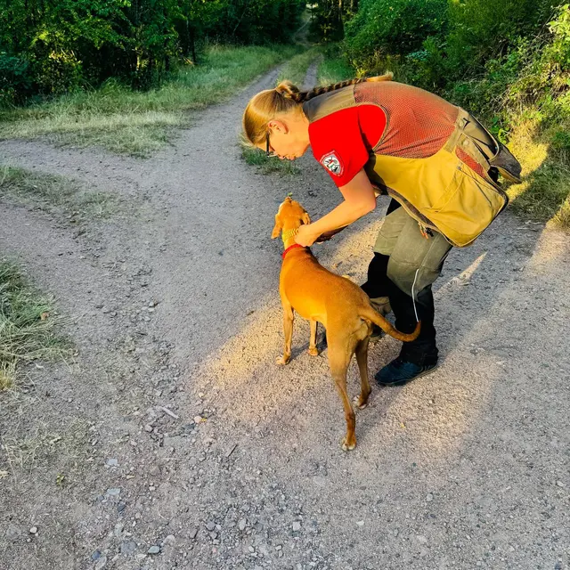 Bereits in den frühen Morgenstunden durchkämmten die ehrenamtlichen Suchhundeteams das Gelände rund um Albersweiler. Die Einsätze wurden wegen der hohen Temperaturen zeitlich begrenzt.
 | Foto: Spezialhunde-Einheit VR/HRD-K9