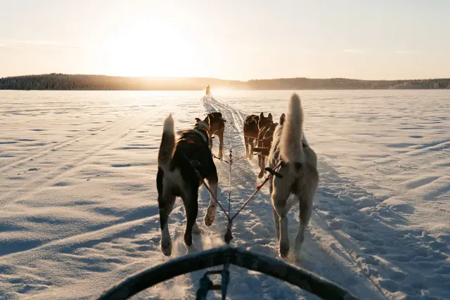 Nordische Winterwelten mit HANSEATIC nature | Foto: © Hapag-Lloyd Cruises