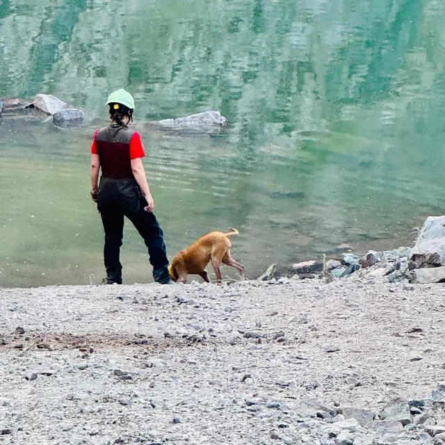 Die Spezialhunde-Einheit VR/HRD-K9 unterstützte die Vermisstensuche in Albersweiler an zwei Tagen mit vier Einsatzteams und fünf speziell ausgebildeten Suchhunden.
 | Foto: Foto: Spezialhunde-Einheit VR/HRD-K9