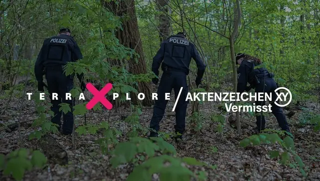 Beamte der Bereitschaftspolizei suchen im Wald nach einer vermissten Person. | Foto:  Copyright: ZDF/ Jonas Walzberg