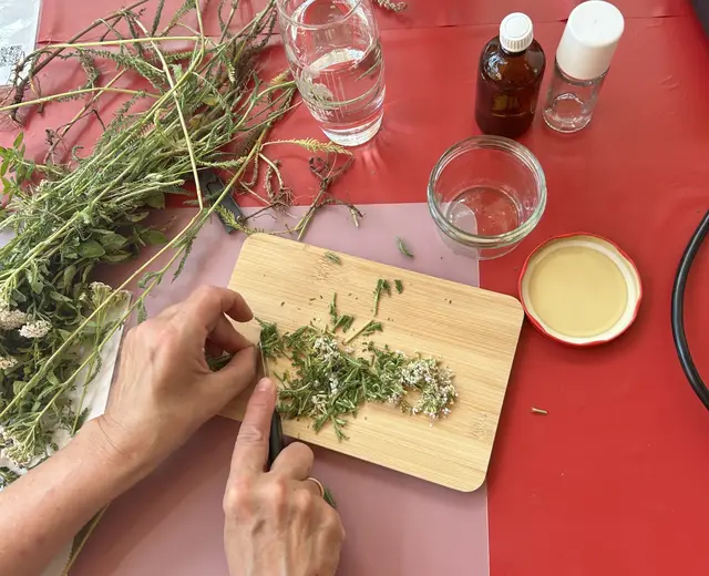 Beim Kräuterworkshop lernen die Teilnehmer heimische Wildkräuter kennen und verarbeiten sie anschließend zu verschiedenen Produkten | Foto: Landesforsten.RLP.de / P.Hochscheidt / gratis
