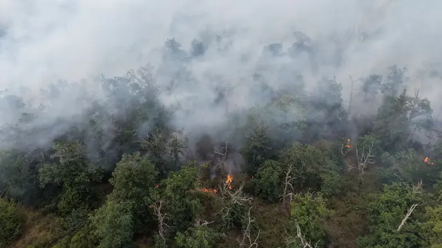 Das Feuer am Rotenfels im Kreis Bad Kreuznach rückt in diesen Tagen den Umgang mit Waldbränden in Rheinland-Pfalz in den Fokus. (Archivfoto) | Foto: Kevin Schößler/dpa