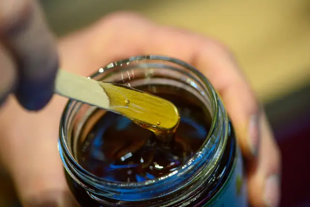 Waldhonig wird auch Honigtauhonig genannt, da die Bienen den sogenannten Honigtau sammeln und in den Waben zu dunklem, aromatischem Honig verarbeiten | Foto: dpa