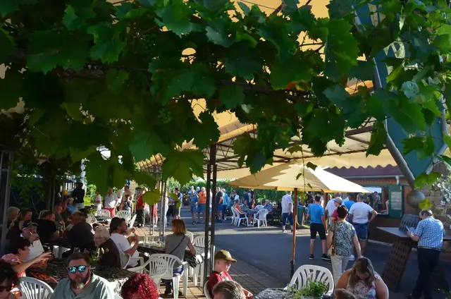 Der Schlössel-Garten lädt während des Weinzehnts zu regionaler Küche, Weingenuss und gemütlichem Verweilen ein. | Foto: i-Punkt Kirrweiler