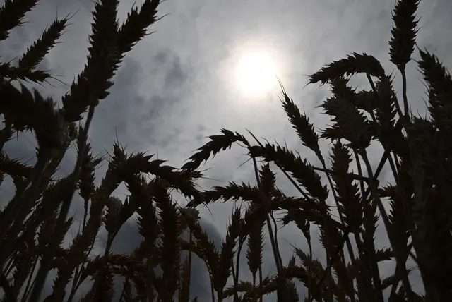 Heute soll die Sonne öfters durch die Wolken kommen. | Foto: Bernd Weißbrod/dpa