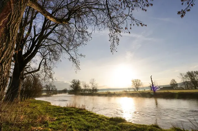 Der Dresdner Extremschwimmer Joseph Heß will die Donau von Ulm bis zur Mündung durchschwimmen. (Symbolbild) | Foto: Thomas Warnack/dpa