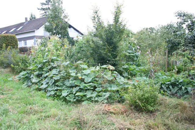 Abschnitt im Allmende Waldgarten | Foto: Allmende Waldgarten e. V.