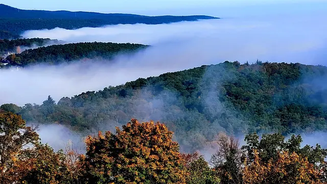 Der Pfälzerwald ist das größte zusammenhängende Waldgebiet Deutschlands  | Foto: Markus Pacher