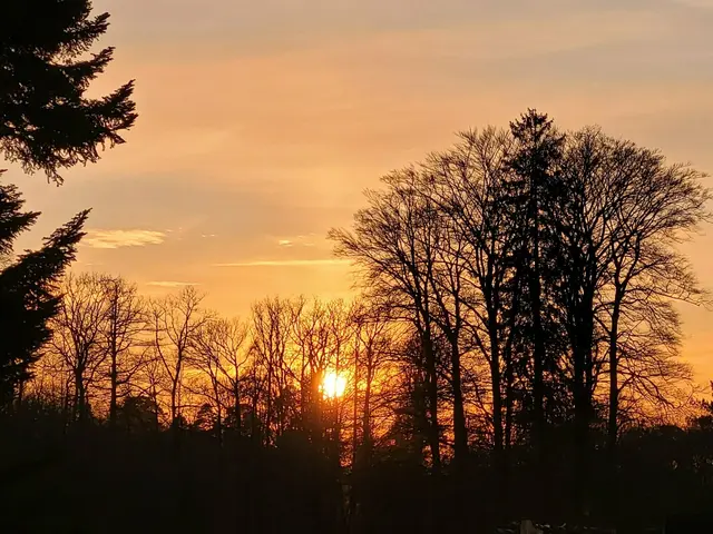 Der Pfälzerwald im Sonnenuntergang - bei Johanniskreuz | Foto: Markus Pacher