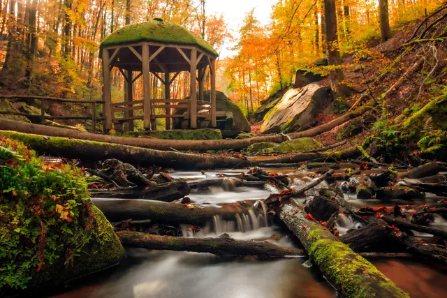 Märchenhaft: die Karlstalschlucht | Foto: Ann-Katrin Hammer