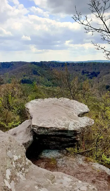 Der Drachenfels zählt zu den magischen Orten der Pfalz. Viele Mythen und Legenden ranken sich um ihn. Sein Gipfelplateau aus Bundsandstein misst stolze 13 Hektar und steht seit 1972 unter Naturschutz. Mit seinen 570 Meter Gipfelhöhle ist er die höchste Erhebung des nördlichen Pfälzerwalds. | Foto: Jens Vollmer