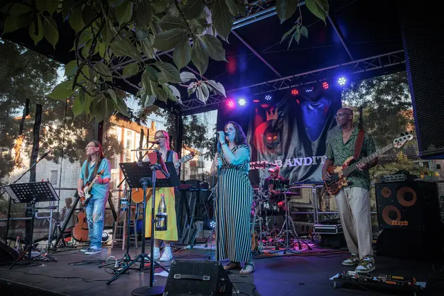 Durlacher Altstadtfest: Die schönsten Momente vom Freitagabend in der Bildergalerie | Foto: Paul Needham