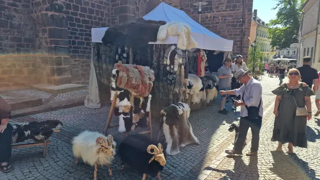 Foto: Ralf Vester