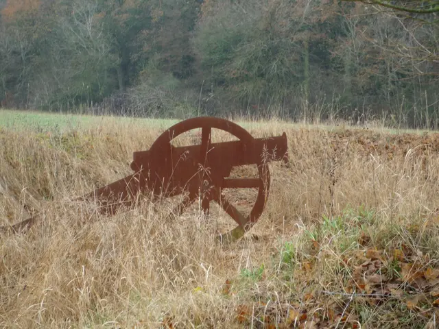Foto: Heinrich Schneider