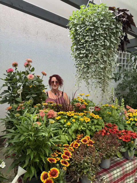 Blumenlädchen und Kreativscheune von Meike Reubold beim Markt Gaugrehweiler auch wieder mit voller Blumenpracht dabei  | Foto: Arno Mohr 