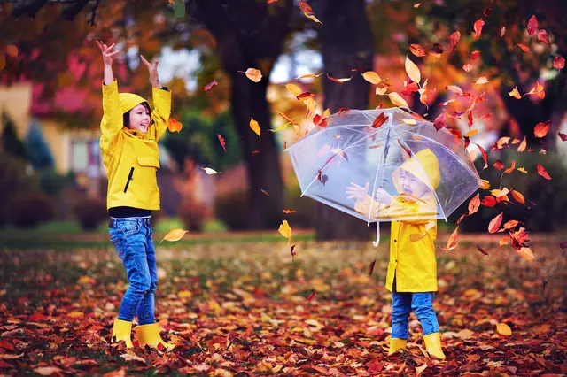 Bei der Fortbildung lernen ehrenamtliche Jugendgruppenleitungen abwechslungsreiche Spiele und erlebnispädagogische Methoden kennen, mit denen der Wald zum spannenden Lern- und Erlebnisraum für Kinder und Jugendliche wird. | Foto: Olesia Bilkei/stock.adobe.com