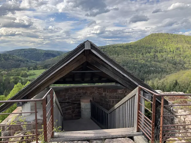 Hinunter geht es durch den Treppenturm | Foto: B. Bender