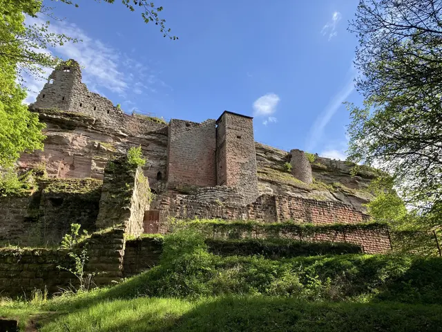 Burg Fleckenstein ist eine der beeindruckendsten Burgruinen | Foto: B. Bender