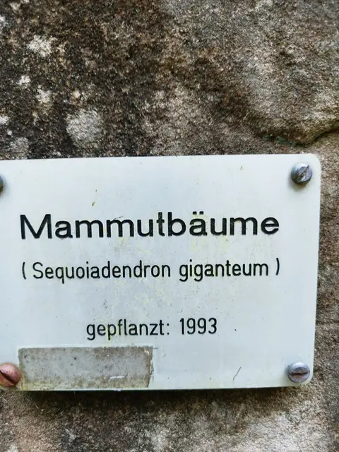 Foto: Ivonne Christmann