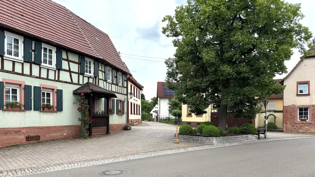 Die Viehstrich-Tour führt mitten durch das ruhige Dierbach. | Foto: Thorsten Kornmann