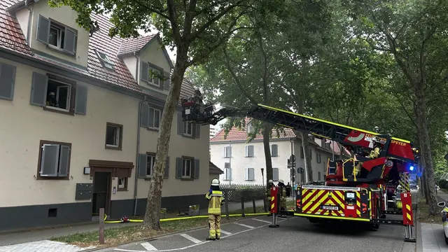 Wohnungsbrand in der Burgstraße in Speyer: Eine Bewohnerin wurde leicht verletzt, die betroffene Wohnung ist derzeit unbewohnbar. Feuerwehr, Rettungsdienst und Polizei waren mit einem größeren Aufgebot im Einsatz. | Foto: Brand- und Katastrophenschutz der Stadt Speyer