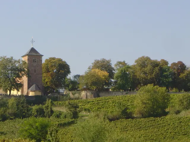 Blick auf den Herxheimer Schlossgarten | Foto: Dörr/Urlaubsregion Freinsheim
