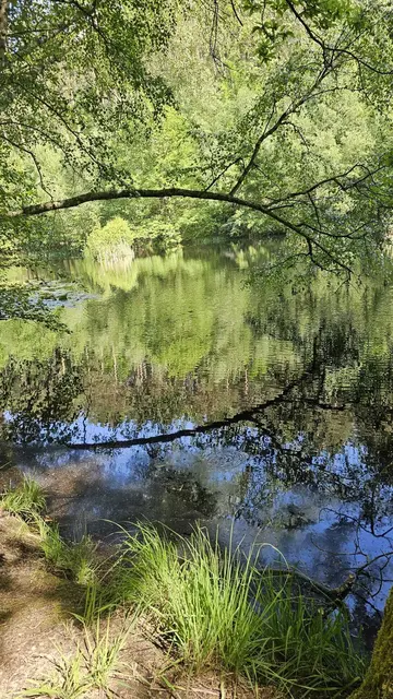 Ungeheuersee | Foto: Ich