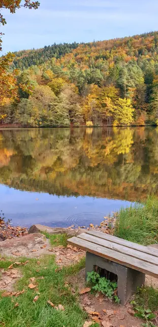 Der Seehof ist ein beliebter Badweiher unterhalb der Burg Berwartstein  | Foto: Jens Vollmer 