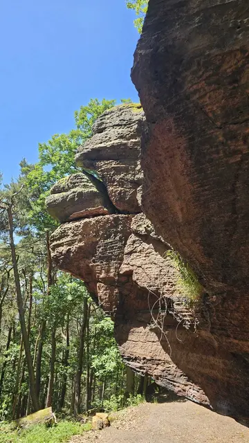 Heidefelsen | Foto: Ich