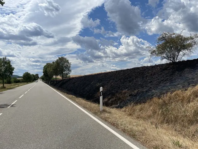 Zwei Brände haben am Montag die Feuerwehren im Donnersbergkreis beschäftigt: Bei Börrstadt brannte ein rund zwei Hektar großes Feld, in Mannweiler-Cölln gerieten Gras und Sträucher unterhalb der B48 in Brand. | Foto: Polizeiinspektion Rockenhausen