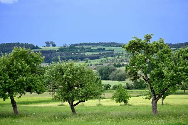 Nordschwarzwald | Foto: zur freien Verfügung