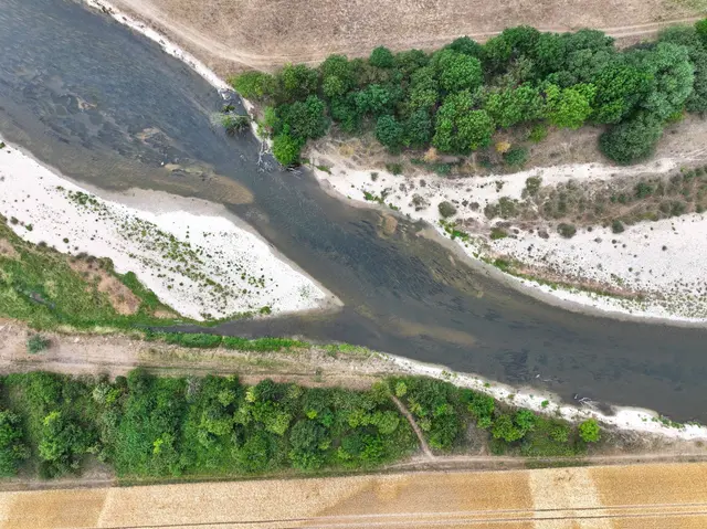 An der Donau ist das Niedrigwasser deutlich zu sehen. (Archivbild) | Foto: Felix Kästle/dpa