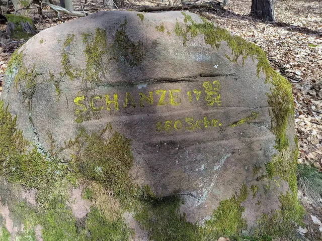 Rittersteine mit der Aufschrift Schanze weisen auf frühere Verteidigungsanlagen hin | Foto: Stefan Fiedler/gratis
