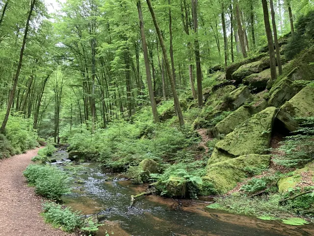 Die Pfalz als Reiseziel: Das Hotel und Restaurant Burgschänke ist für Wanderer, Mountainbiker und Motorradfahrer eine beliebte Unterkunft für eine oder mehrere Übernachtungen - und ein schöner Ausgangspunkt für Touren in die traumhafte Umgebung. | Foto: Thomas Brenner